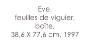 Eve,
feuilles de viguier, boîte,
38,6 X 77,6 cm, 1997