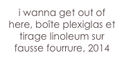 i wanna get out of here, boîte plexiglas et tirage linoleum sur fausse fourrure, 2014