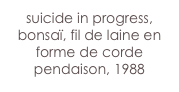 suicide in progress,
bonsaï, fil de laine en forme de corde pendaison, 1988