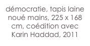 démocratie, tapis laine noué mains, 225 x 168 cm, coédition avec Karin Haddad, 2011