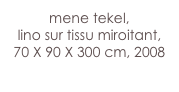 mene tekel,
lino sur tissu miroitant,
70 X 90 X 300 cm, 2008