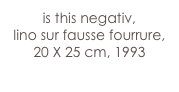 is this negativ,
lino sur fausse fourrure,
20 X 25 cm, 1993