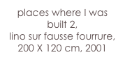 places where I was built 2,
lino sur fausse fourrure,
200 X 120 cm, 2001