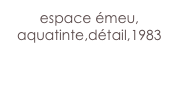 espace émeu,
aquatinte,détail,1983