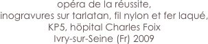 opéra de la réussite,
inogravures sur tarlatan, fil nylon et fer laqué,
KP5, höpital Charles Foix
Ivry-sur-Seine (Fr) 2009
