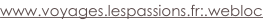 shapeimage_22_link_0