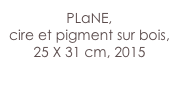 PLaNE,
cire et pigment sur bois,
25 X 31 cm, 2015