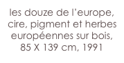 les douze de l’europe,
cire, pigment et herbes européennes sur bois,
85 X 139 cm, 1991